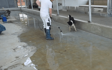 Zelf voergang coating aanbrengen